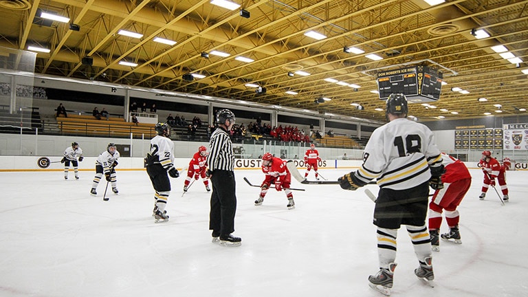 IntelligentDC Gives Gustavus Adolphus College Arena a Sonic Advantage