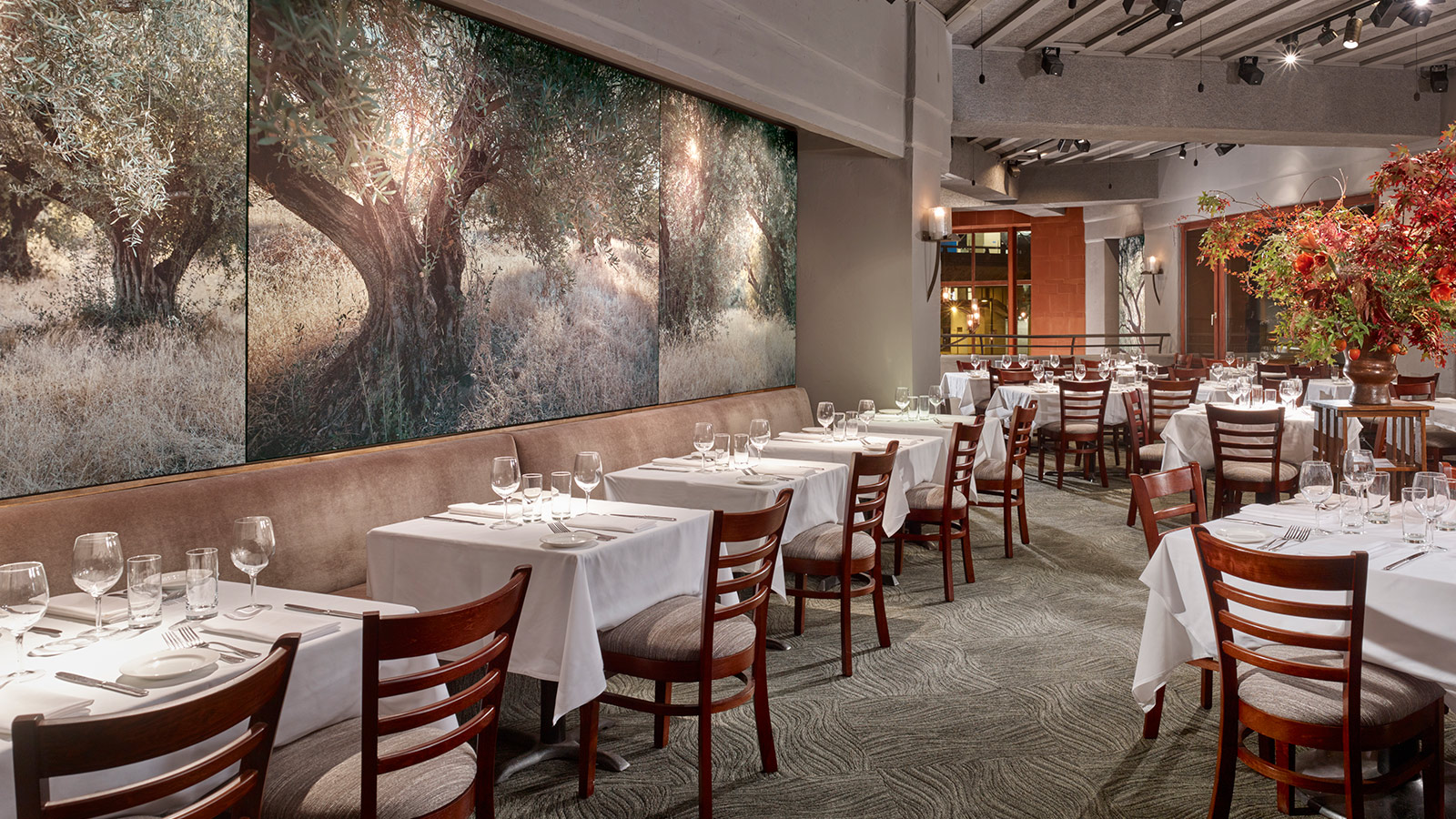 Oliveto Restaurant and Cafe Collaborates with Meyer Sound to Create Exceptional Dining Experience