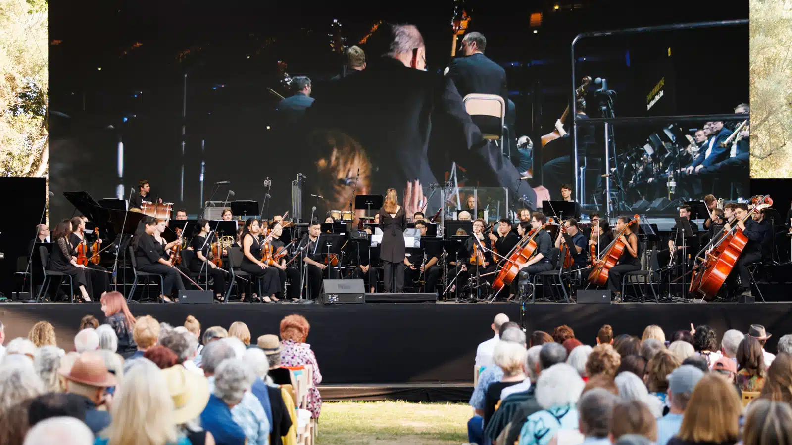Meyer Sound Delivers Refined Power and Intimate Clarity at Festival Napa Valley 2025